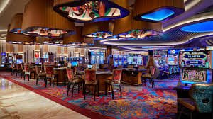 u555 Live Casino